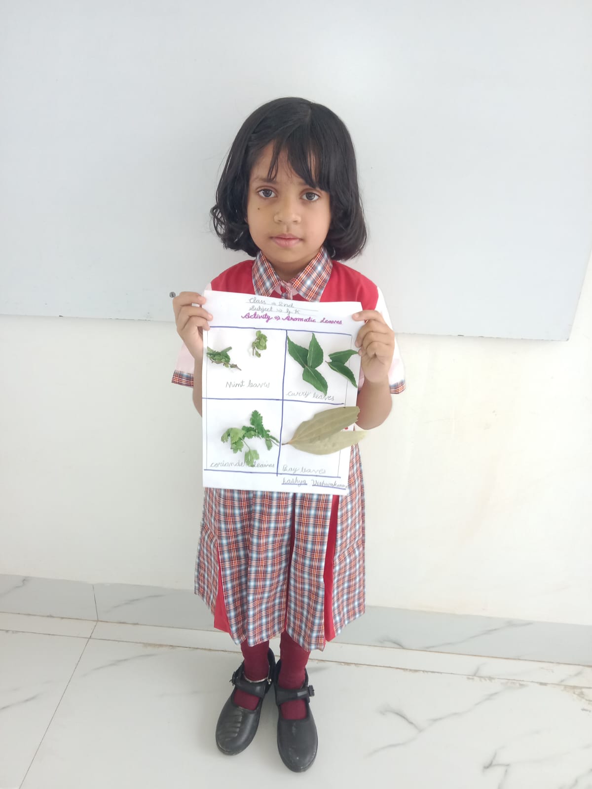 Student presenting a hands-on learning activity