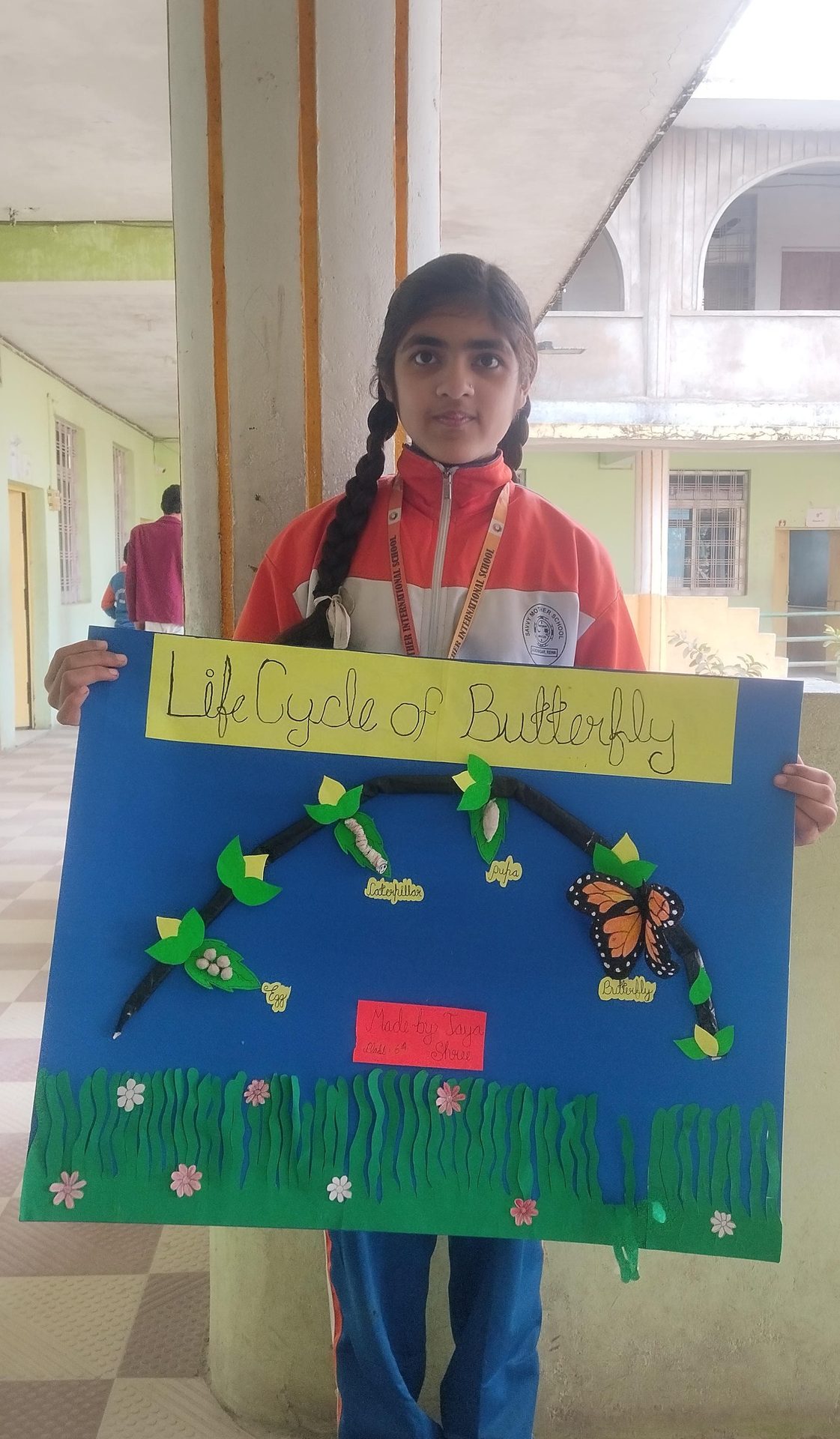 Student presenting a life cycle craft activity