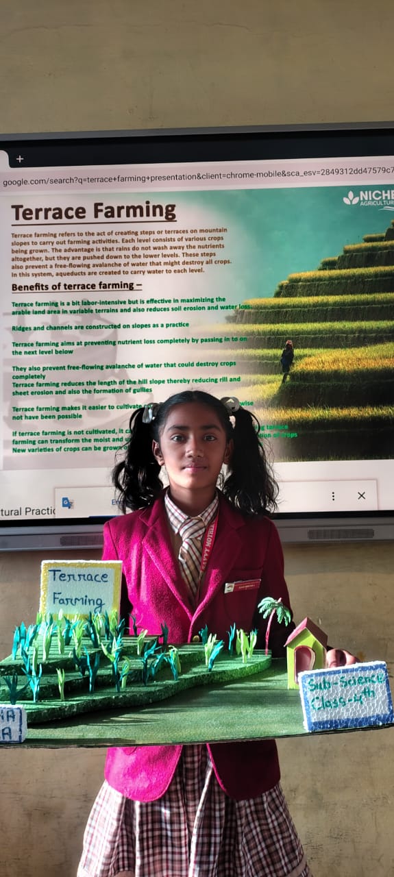 Student presenting a terrace farming model in class